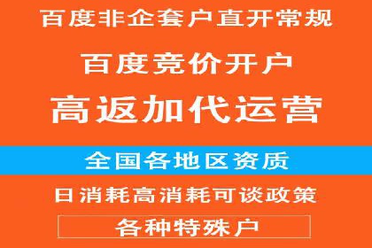 案例分享：SEM推广助力电商快速崛起